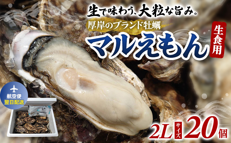 翌日配送 航空便 厚岸のブランド牡蠣 マルえもん 2Lサイズ 20個 [ 牡蠣 生食用 魚貝類 海鮮 海のミルク 国産 生食用殻付き牡蠣 まろやか クリーミー  牡蠣の酒蒸し 焼き牡蠣 マルえもん ]