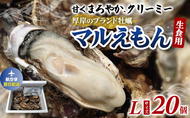 翌日配送 航空便 厚岸のブランド牡蠣 マルえもん Lサイズ 20個 [ 牡蠣 生食用 魚貝類 海鮮 海のミルク 国産 生食用殻付き牡蠣 まろやか クリーミー  牡蠣の酒蒸し 焼き牡蠣 マルえもん ]