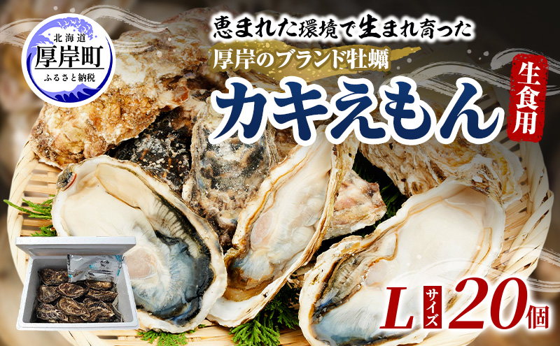 牡蠣 厚岸のブランド牡蠣 生食用 カキえもん Lサイズ 20個  [ 魚貝類 海鮮 海のミルク 国産 生食用殻付き牡蠣 まろやか クリーミー 食べやすい品種 海の香り 牡蠣の酒蒸し 焼き牡蠣  ]