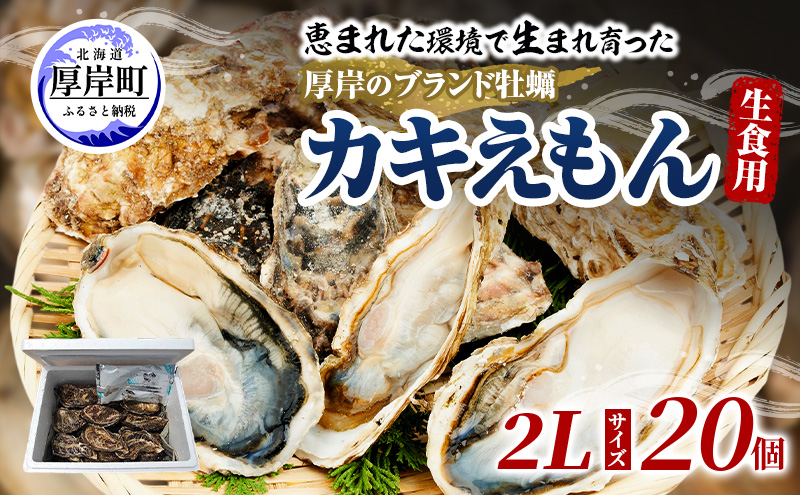 牡蠣 厚岸のブランド牡蠣 生食用 カキえもん 2Lサイズ 20個  [ 魚貝類 海鮮 海のミルク 国産 生食用殻付き牡蠣 まろやか クリーミー 食べやすい品種 海の香り 牡蠣の酒蒸し 焼き牡蠣  ]