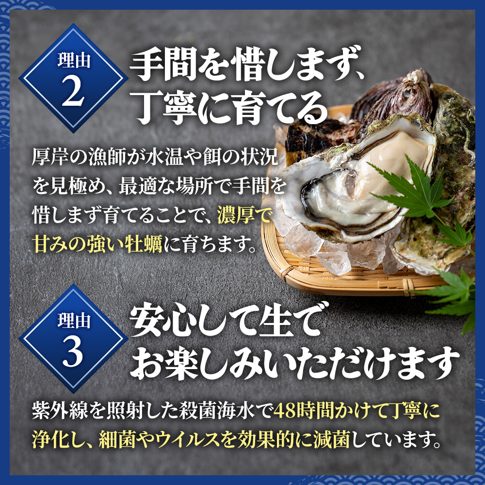 牡蠣 厚岸のブランド牡蠣 生食用 カキえもん 2Lサイズ 20個  [ 魚貝類 海鮮 海のミルク 国産 生食用殻付き牡蠣 まろやか クリーミー 食べやすい品種 海の香り 牡蠣の酒蒸し 焼き牡蠣  ]