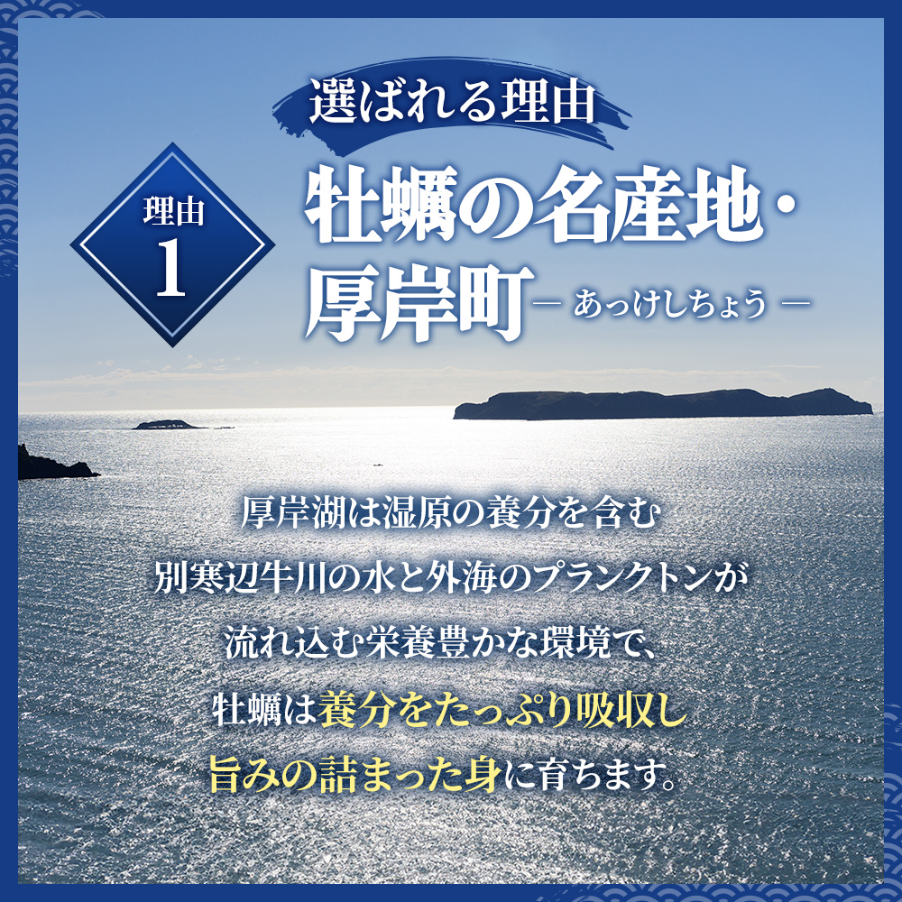 牡蠣 厚岸のブランド牡蠣 食べ比べ 生食用 カキえもん マルえもん Mサイズ 各10個  [ 魚貝類 海鮮 海のミルク 国産 生食用殻付き牡蠣 まろやか クリーミー 食べやすい品種 海の香り 牡蠣の酒蒸し 焼き牡蠣  ]
