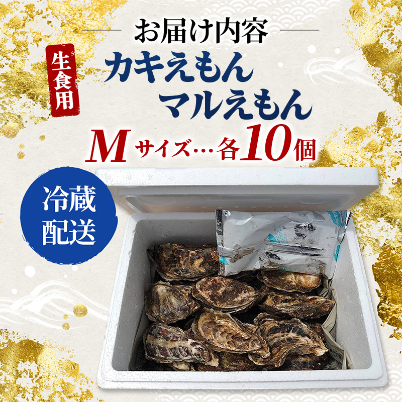 牡蠣 厚岸のブランド牡蠣 食べ比べ 生食用 カキえもん マルえもん Mサイズ 各10個  [ 魚貝類 海鮮 海のミルク 国産 生食用殻付き牡蠣 まろやか クリーミー 食べやすい品種 海の香り 牡蠣の酒蒸し 焼き牡蠣  ]