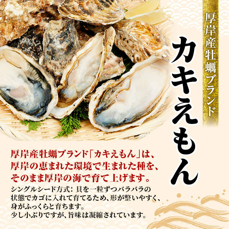 牡蠣 厚岸のブランド牡蠣 食べ比べ 生食用 カキえもん マルえもん Lサイズ 各10個  [ 魚貝類 海鮮 海のミルク 国産 生食用殻付き牡蠣 まろやか クリーミー 食べやすい品種 海の香り 牡蠣の酒蒸し 焼き牡蠣  ]