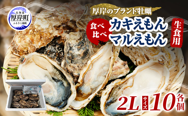 牡蠣 厚岸のブランド牡蠣 食べ比べ 生食用 カキえもん マルえもん 2Lサイズ 各10個  [ 魚貝類 海鮮 海のミルク 国産 生食用殻付き牡蠣 まろやか クリーミー 食べやすい品種 海の香り 牡蠣の酒蒸し 焼き牡蠣  ]