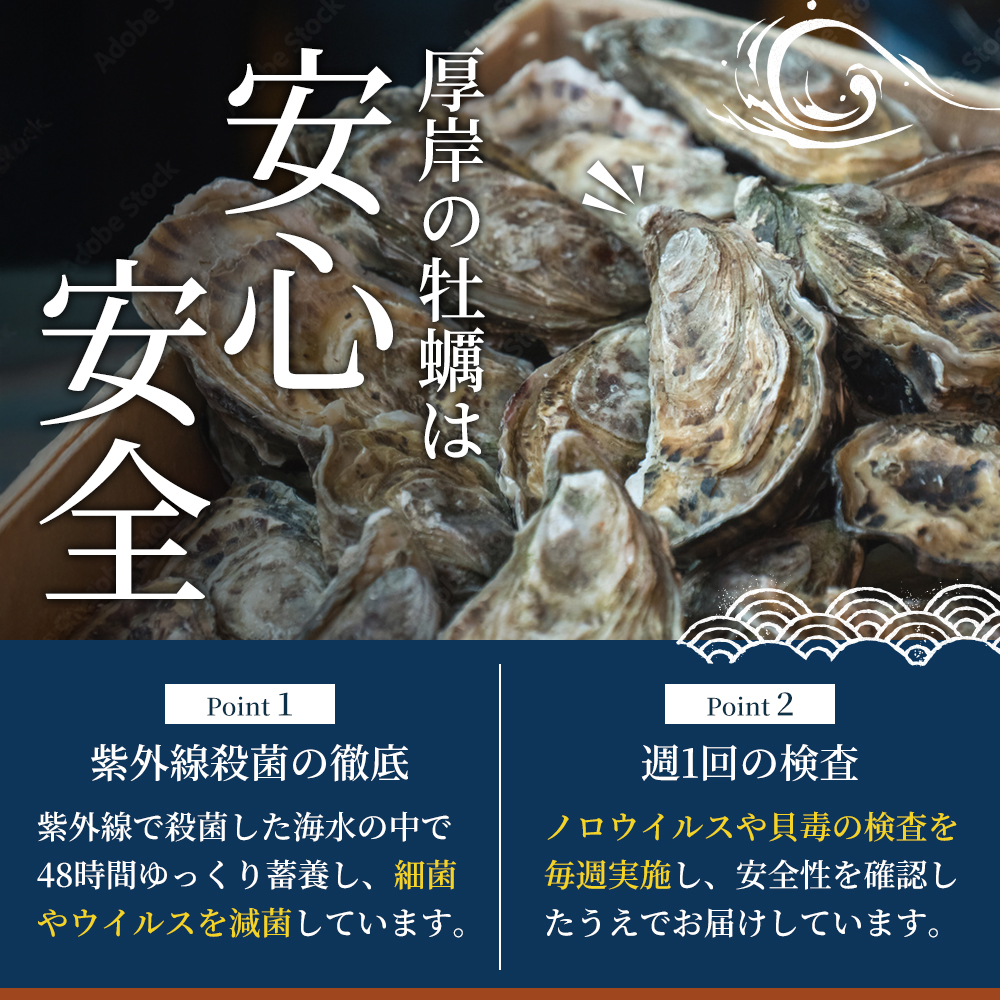 北海道厚岸産 むきかき 500g 魚貝類 生牡蠣 牡蠣 カキ むき牡蠣 マルえもん
