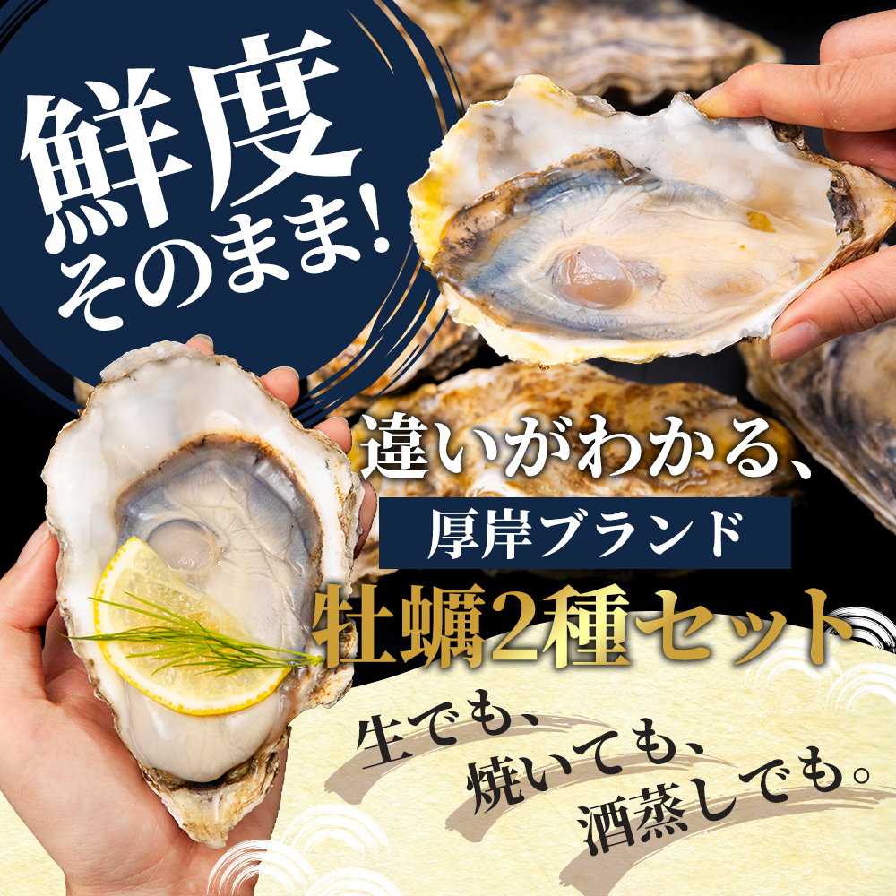 北海道 厚岸産 ブランド 殻付牡蠣 食べ比べ 弁天牡蠣 A3サイズ カキえもんLL サイズ 各12個 生食用 [ 牡蠣 カキ かき 生食 生食用 生牡蠣 食べ比べ 魚貝類 ブランド牡蠣 ]