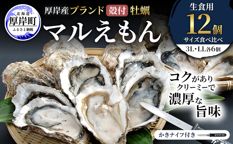 厚岸産 ブランド 殻付カキ マルえもん 生食用 サイズ食べ比べ 12個 (3L・LL各6個)[ 魚貝類 生牡蠣 かき 牡蠣 カキ 生ガキ 食べ比べ ]