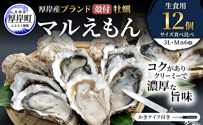 厚岸産 ブランド 殻付カキ マルえもん 生食用 サイズ食べ比べ 12個 (3L・M各6個)[ 魚貝類 生牡蠣 かき 牡蠣 カキ 生ガキ 食べ比べ ]