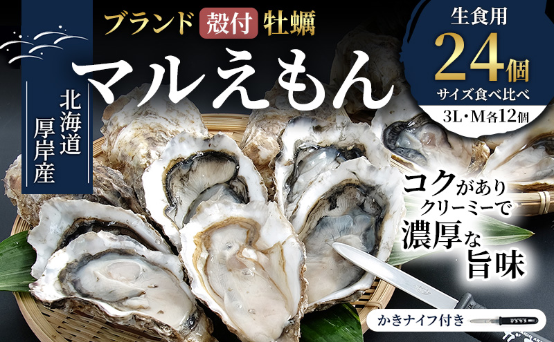 厚岸産 ブランド 殻付カキ マルえもん 生食用 サイズ食べ比べ 24個 (3L・M各12個)[ 魚貝類 生牡蠣 かき 牡蠣 カキ 生ガキ 食べ比べ ]