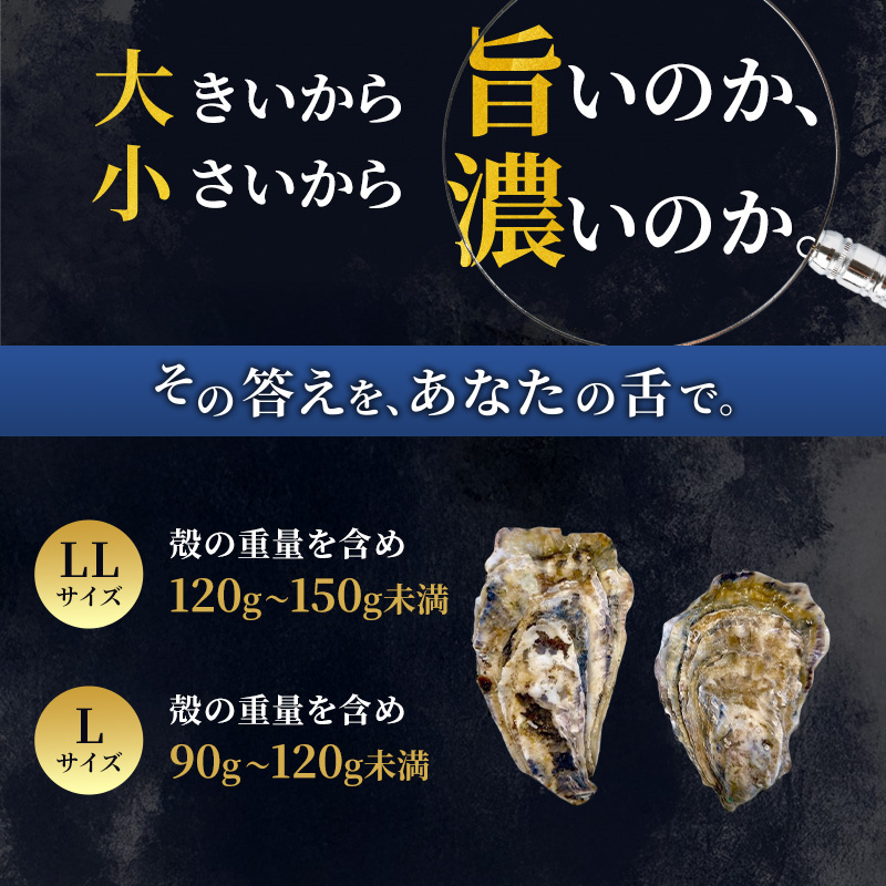 厚岸産 ブランド 殻付カキ マルえもん 生食用 サイズ食べ比べ 12個 (LL・L各6個)[ 魚貝類 生牡蠣 かき 牡蠣 カキ 生ガキ 食べ比べ ]