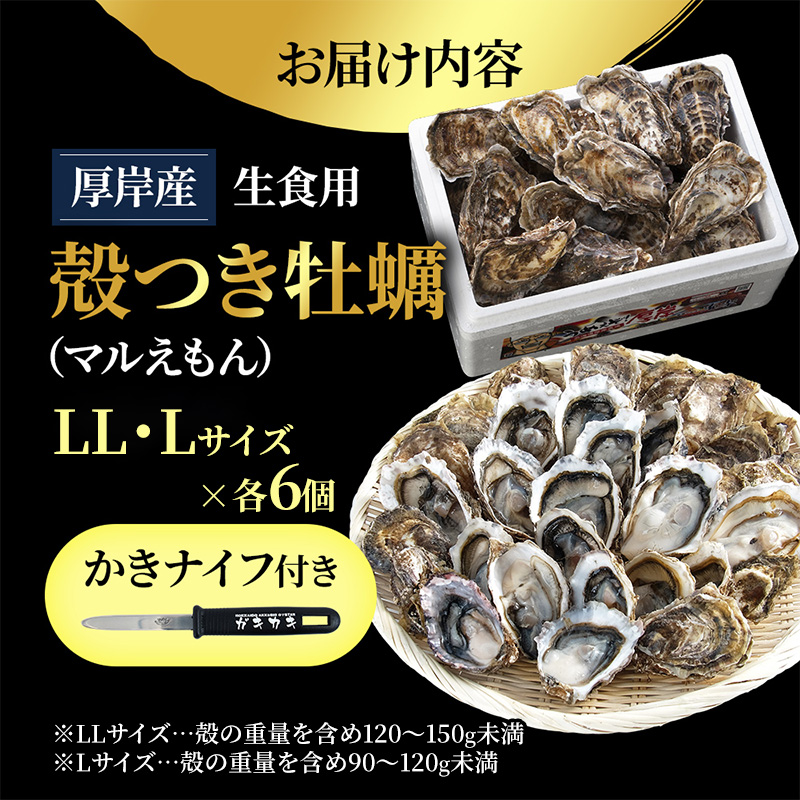 厚岸産 ブランド 殻付カキ マルえもん 生食用 サイズ食べ比べ 12個 (LL・L各6個)[ 魚貝類 生牡蠣 かき 牡蠣 カキ 生ガキ 食べ比べ ]