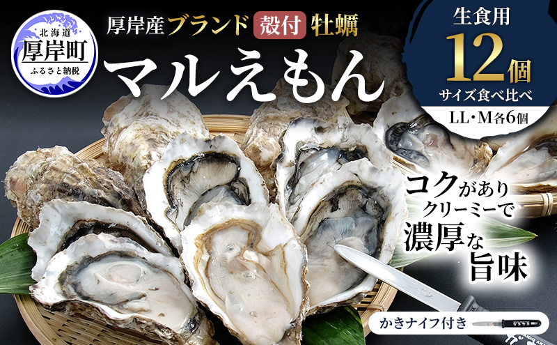 厚岸産 ブランド 殻付カキ マルえもん 生食用 サイズ食べ比べ 12個 (LL・M各6個)[ 魚貝類 生牡蠣 かき 牡蠣 カキ 生ガキ 食べ比べ ]