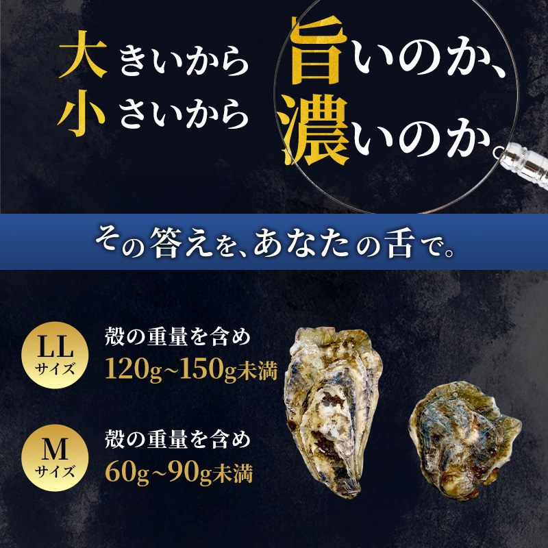 厚岸産 ブランド 殻付カキ マルえもん 生食用 サイズ食べ比べ 12個 (LL・M各6個)[ 魚貝類 生牡蠣 かき 牡蠣 カキ 生ガキ 食べ比べ ]