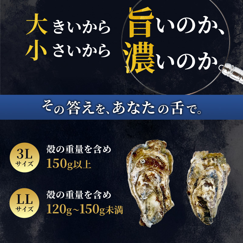 【 3ヵ月 定期便 】 厚岸産 ブランド 殻付カキ マルえもん 生食用 サイズ食べ比べ 12個 (3L・LL各6個)[ 魚貝類 生牡蠣 かき 牡蠣 カキ 生ガキ 食べ比べ ]