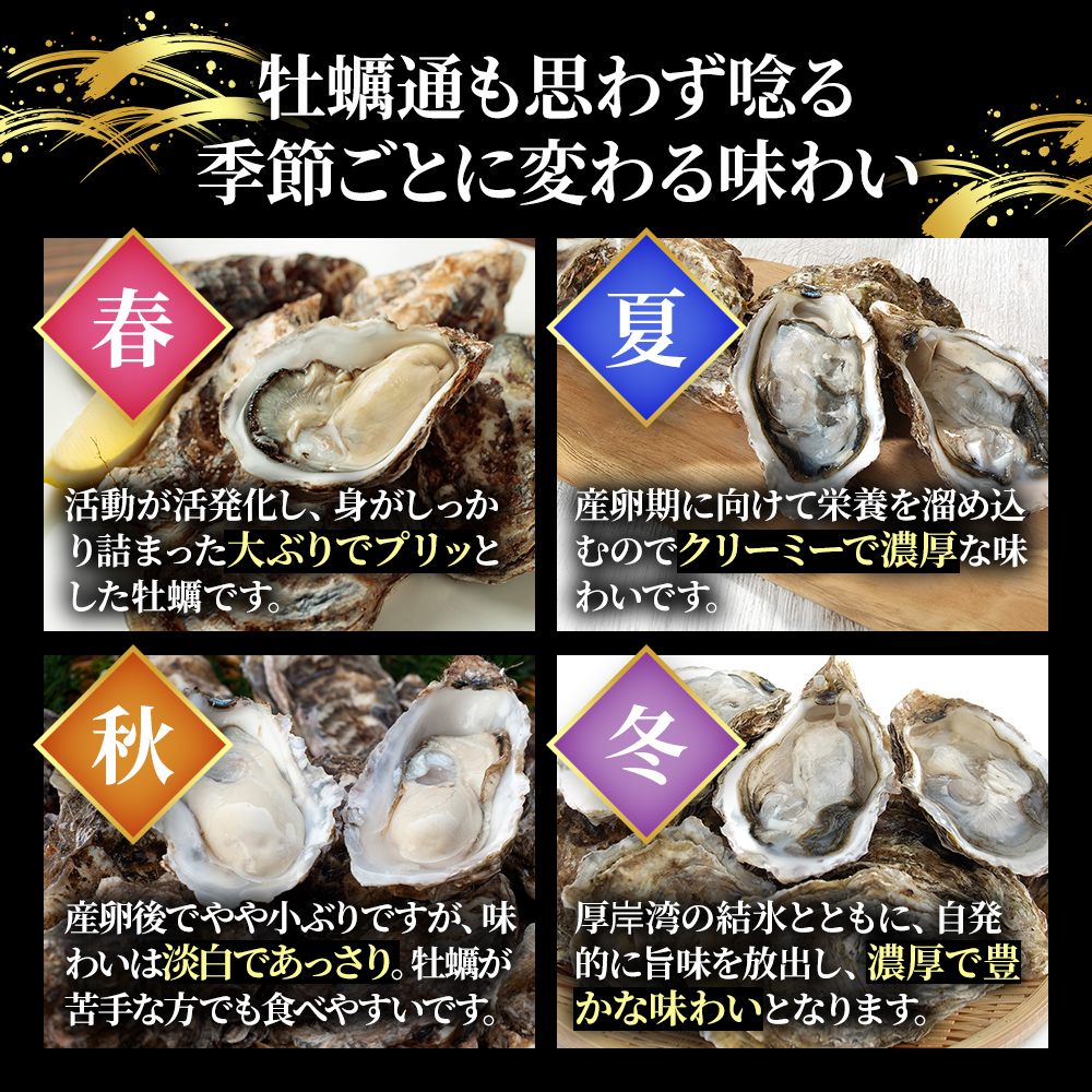 【 3ヵ月 定期便 】 厚岸産 ブランド 殻付カキ マルえもん 生食用 サイズ食べ比べ 12個 (3L・LL各6個)[ 魚貝類 生牡蠣 かき 牡蠣 カキ 生ガキ 食べ比べ ]