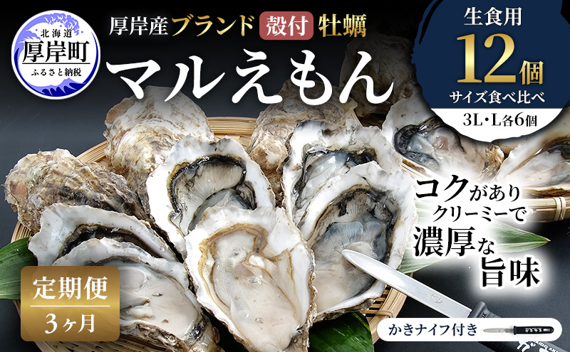 【 3ヵ月 定期便 】 厚岸産 ブランド 殻付カキ マルえもん 生食用 サイズ食べ比べ 12個 (3L・L各6個)[ 魚貝類 生牡蠣 かき 牡蠣 カキ 生ガキ 食べ比べ ]