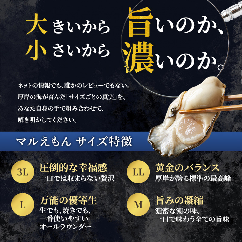 【 3ヵ月 定期便 】 厚岸産 ブランド 殻付カキ マルえもん 生食用 サイズ食べ比べ 24個 (3L・L各12個)[ 魚貝類 生牡蠣 かき 牡蠣 カキ 生ガキ 食べ比べ ]