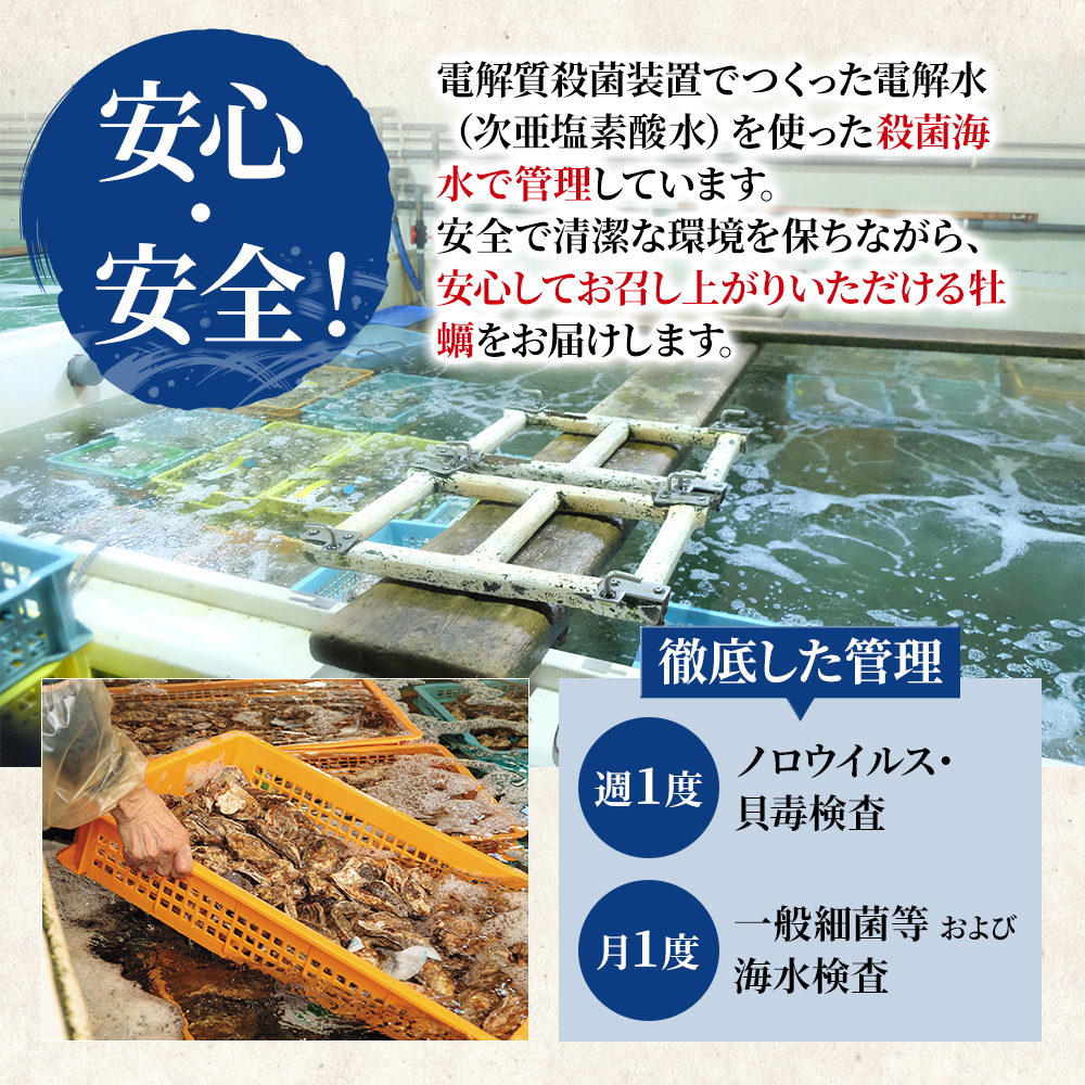 【 3ヵ月 定期便 】 厚岸産 ブランド 殻付カキ マルえもん 生食用 サイズ食べ比べ 24個 (3L・M各12個)[ 魚貝類 生牡蠣 かき 牡蠣 カキ 生ガキ 食べ比べ ]