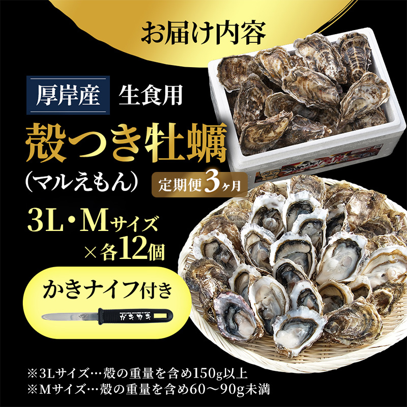 【 3ヵ月 定期便 】 厚岸産 ブランド 殻付カキ マルえもん 生食用 サイズ食べ比べ 24個 (3L・M各12個)[ 魚貝類 生牡蠣 かき 牡蠣 カキ 生ガキ 食べ比べ ]