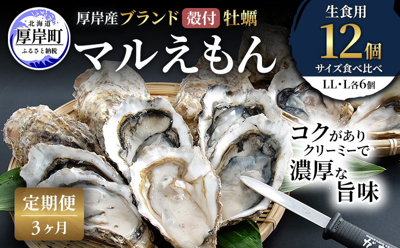 【 3ヵ月 定期便 】 厚岸産 ブランド 殻付カキ マルえもん 生食用 サイズ食べ比べ 12個 (LL・L各6個)[ 魚貝類 生牡蠣 かき 牡蠣 カキ 生ガキ 食べ比べ ]