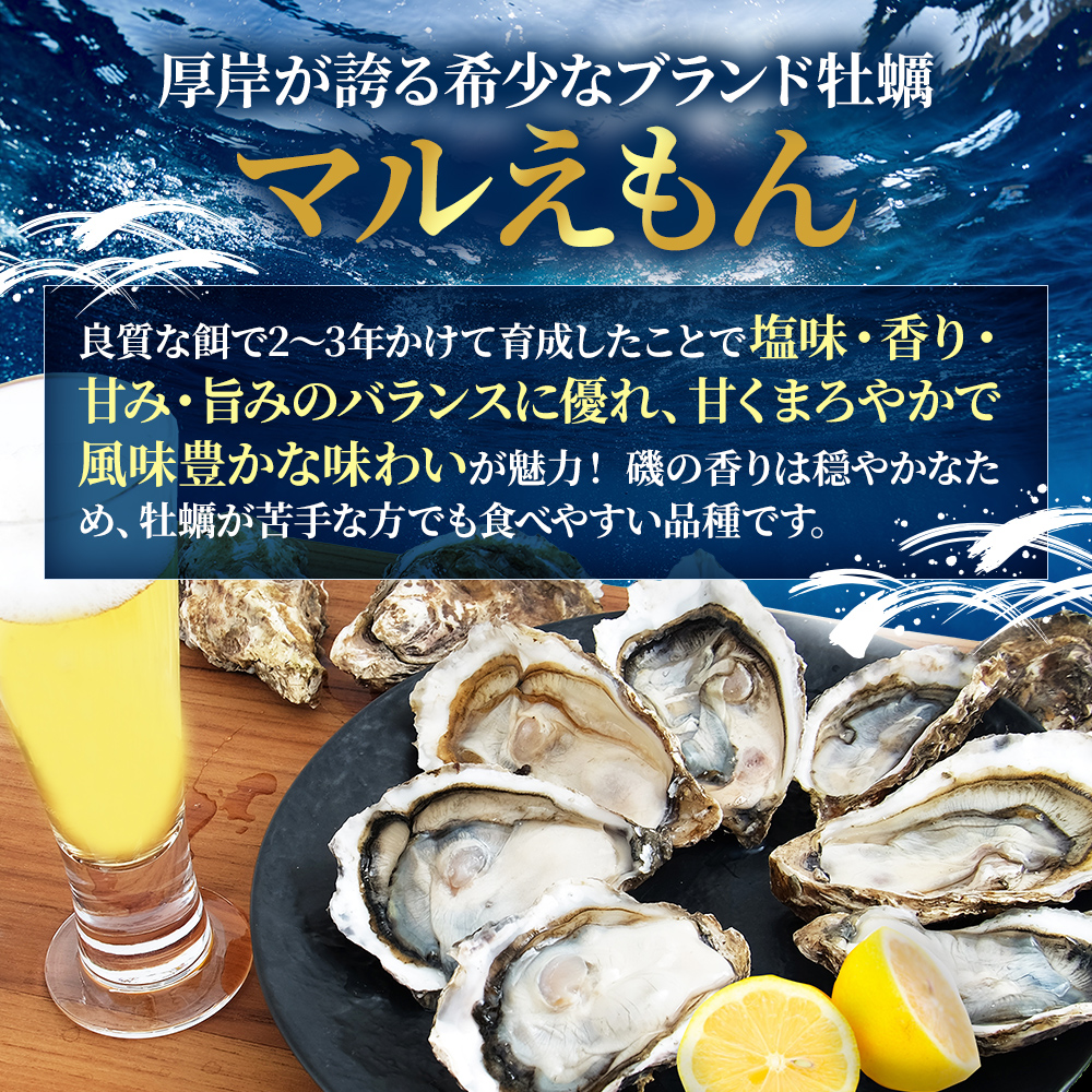 【 3ヵ月 定期便 】 厚岸産 ブランド 殻付カキ マルえもん 生食用 サイズ食べ比べ 12個 (LL・M各6個)[ 魚貝類 生牡蠣 かき 牡蠣 カキ 生ガキ 食べ比べ ]