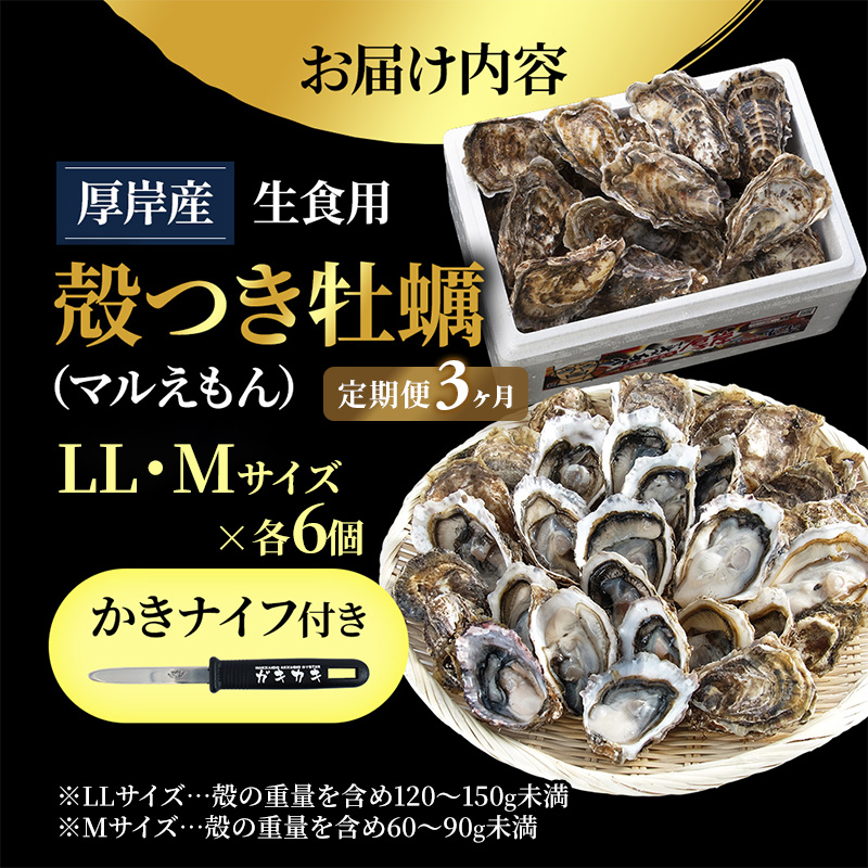 【 3ヵ月 定期便 】 厚岸産 ブランド 殻付カキ マルえもん 生食用 サイズ食べ比べ 12個 (LL・M各6個)[ 魚貝類 生牡蠣 かき 牡蠣 カキ 生ガキ 食べ比べ ]