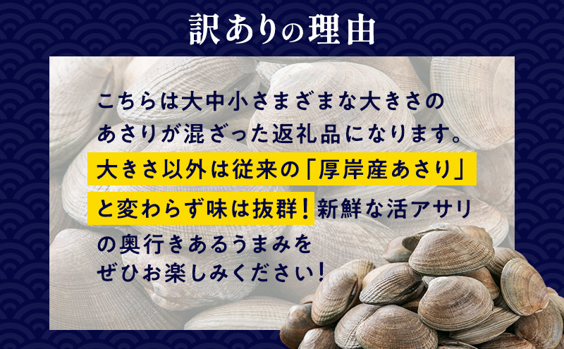 訳あり 北海道 厚岸産 砂出し済み 活あさり 1kg×2 (合計2kg) 【厚岸海産】[ アサリ 魚貝 海鮮 大粒 美味しい 栄養 旨み 砂出し 水洗い 冷蔵 便利 ]