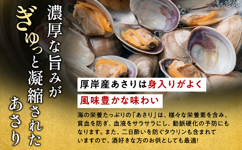 【3カ月 定期便 】訳あり 北海道 厚岸産 砂出し済み 活あさり 1kg×2 (合計2kg) 【厚岸海産】[ アサリ 魚貝 海鮮 大粒 美味しい 栄養 旨み 砂出し 水洗い 冷蔵 便利 ]