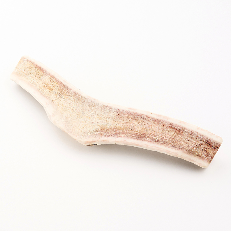 厚岸町産 わんちゃん用 エゾ鹿の角 半割1本 20cm 中型～大型犬用 【deer food】[犬 おもちゃ 犬用ガム ペット用品 鹿角 長持ち デンタルケア ペット ] 