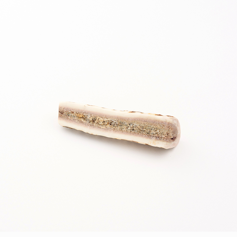 厚岸町産 わんちゃん用 エゾ鹿の角 半割1本 10cm 小型犬用 【deer food】[犬 おもちゃ 犬用ガム ペット用品 鹿角 長持ち デンタルケア ペット ]