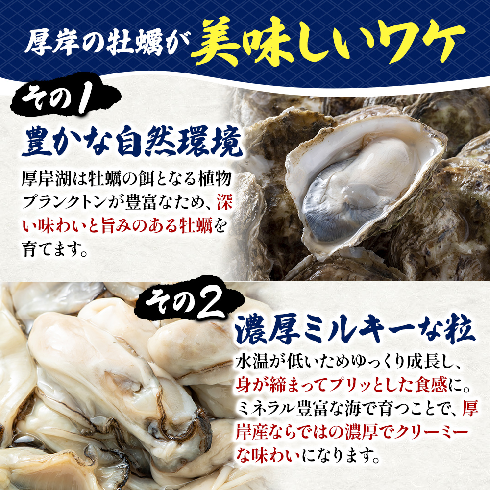 訳あり 北海道 厚岸産  殻付き 牡蠣 700g 【光輝】 [ 魚貝類 生牡蠣 海鮮 海の幸 生食用牡蠣 生食用 生食用殻付き牡蠣 濃厚 甘み  オイスター ]  