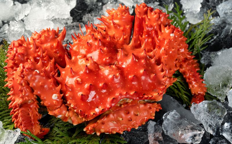 カニ 幻の蟹 厚岸産 浜茹で 花咲がに 1.5kg(3尾～5尾)[ 蟹 かに 新鮮 花咲ガニ 花咲蟹 産地直送 ] 