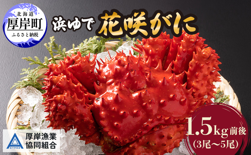 カニ 幻の蟹 厚岸産 浜茹で 花咲がに 1.5kg(3尾～5尾)[ 蟹 かに 新鮮 花咲ガニ 花咲蟹 産地直送 ]