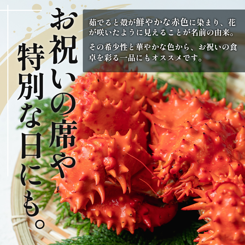 カニ 幻の蟹 厚岸産 浜茹で 花咲がに 1.5kg(3尾～5尾)[ 蟹 かに 新鮮 花咲ガニ 花咲蟹 産地直送 ] 
