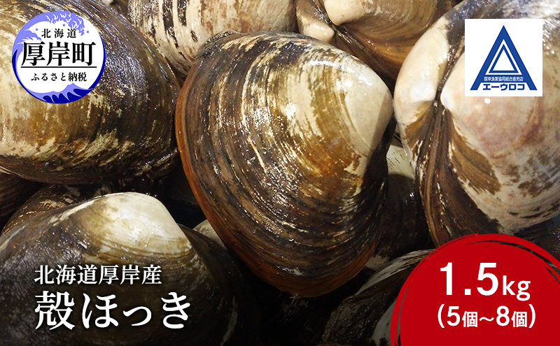 新鮮 北海道 厚岸産 殻ほっき 1.5kg (5個～8個) [ ホッキ 北寄 貝 産地直送 魚介類 バーべキュー ]