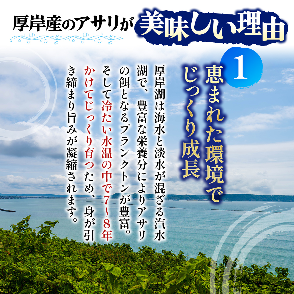 翌日配送 航空便 北海道 厚岸産 あさり 500g×2パック (合計1kg) 大中混合 アサリ 魚貝 海 美味しい 栄養 旨み 砂出し 水洗い 冷蔵 冷凍保存可能 便利