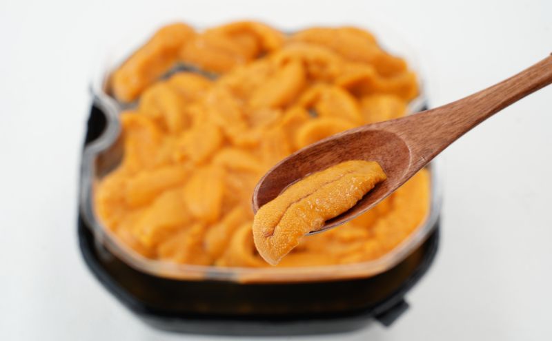 2ヵ月 定期便 うに ロシア産 バフンウニ 塩水パック 100g×1 【マルタク水産】[ 雲丹 ウニ 新鮮 海産物 冷蔵 濃厚 甘い ] 
