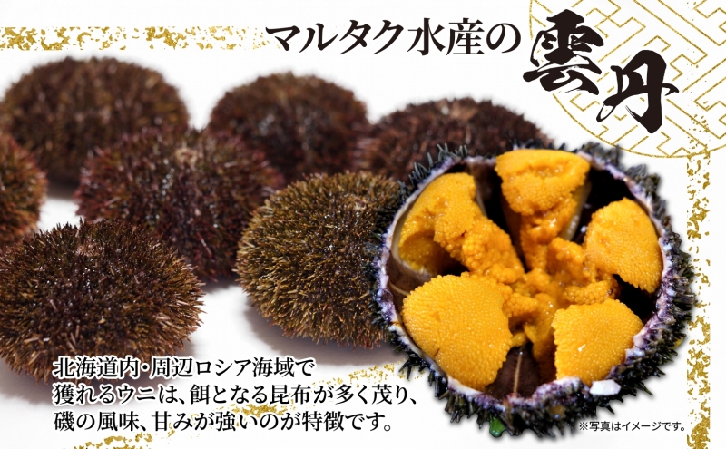 2ヵ月 定期便 うに ロシア産 バフンウニ 塩水パック 100g×1 【マルタク水産】[ 雲丹 ウニ 新鮮 海産物 冷蔵 濃厚 甘い ] 