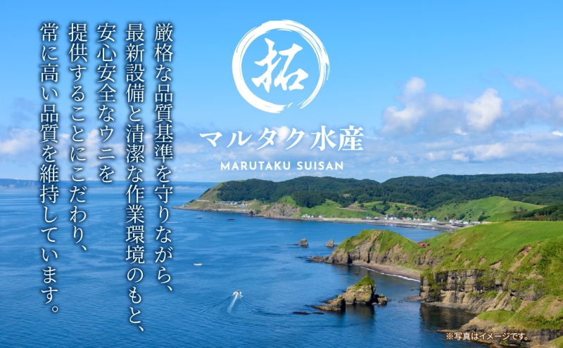 2ヵ月 定期便 うに ロシア産 バフンウニ 塩水パック 100g×2 【マルタク水産】[ 雲丹 ウニ 新鮮 海産物 冷蔵 濃厚 甘い ] 