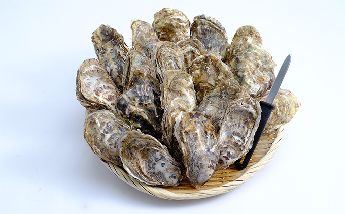 厚岸産 殻付き牡蠣Ｌサイズ20個入(加熱容器付)北海道 牡蠣 カキ かき 生食 生食用 ミルク レンジ