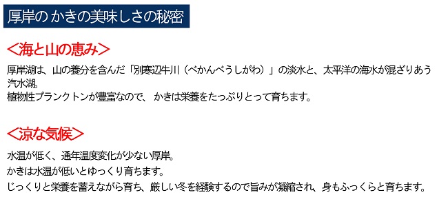 定期便 6ヶ月 北海道 厚岸産 牡蠣 Lサイズ 20個 (各回20個×6ヶ月分,合計120個) 殻付き 生食 カキナイフ付き かき カキ