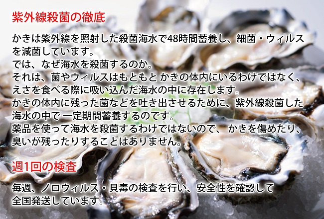 【厚岸漁協直売店特製】 かきガンガン焼 Ｍセット20個  北海道 牡蠣 カキ かき  生牡蠣 殻付 
