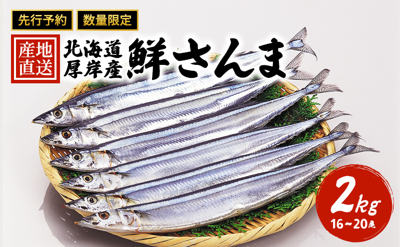 先行予約 産地直送 北海道 厚岸産 刺身用 鮮さんま 2kg（16～20尾） サンマ 秋刀魚 さんま 鮮魚 魚介類 海産 生さんま 