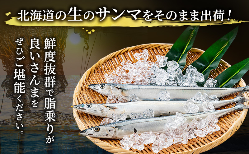 先行予約 産地直送 北海道 厚岸産 刺身用 鮮さんま 2kg（15～20尾） サンマ 秋刀魚 さんま 鮮魚 魚介類 海産 生さんま