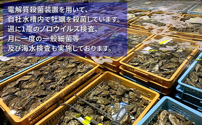 北海道厚岸産　牡蠣むいちゃいました！（生食用）500ｇ×1