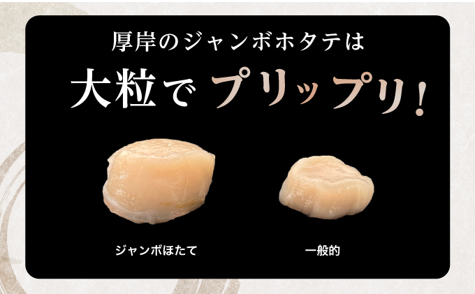 ジャンボホタテ貝柱 500g (12玉前後) 北海道 帆立 ホタテ ほたて 貝柱 ホタテ貝柱 玉冷