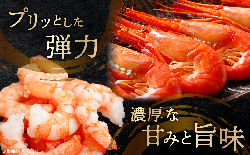 北海しまえび(大)　300g×1箱(13尾前後)_H0001-1221