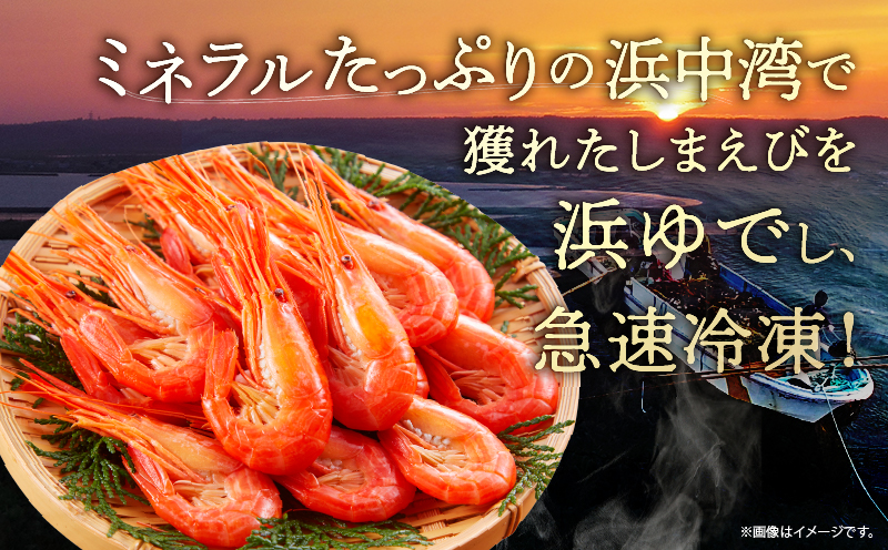 北海しまえび(大)　300g×1箱(13尾前後)_H0001-1221