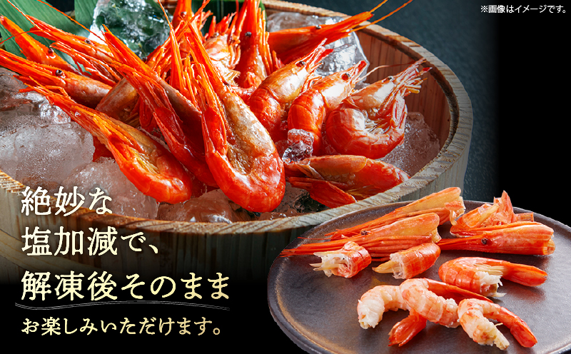 北海しまえび(大)　300g×1箱(13尾前後)_H0001-1221